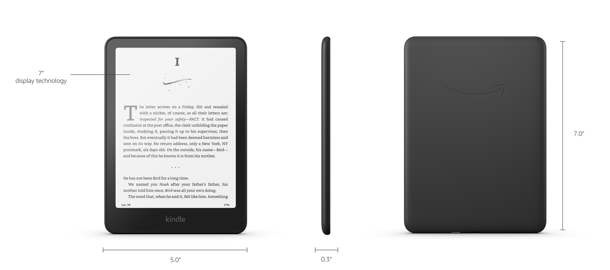 Amazon Электронная книга Amazon Kindle Paperwhite (2024) 12th Gen