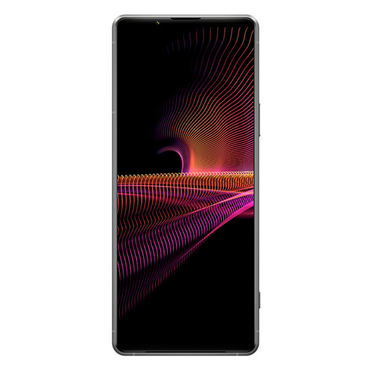 Sony Xperia 1 III 12/512Gb Global Серый
