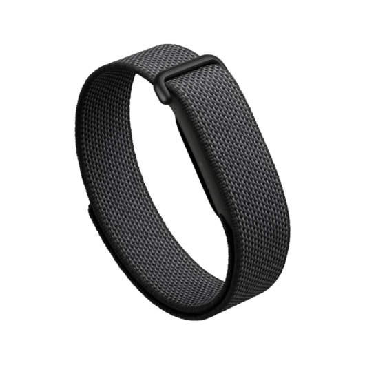Фитнес-браслет Google Fitbit Air Obsidian