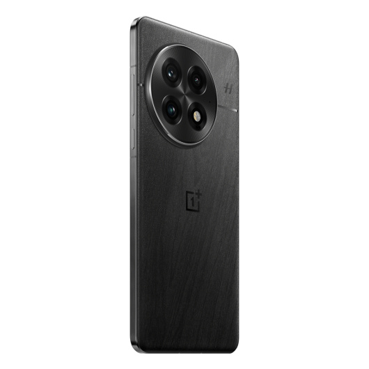 OnePlus 13 12/256Gb Dual nanoSim Черный IND