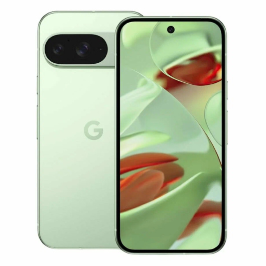 Google Pixel 9 12/256Gb Зеленый (US)