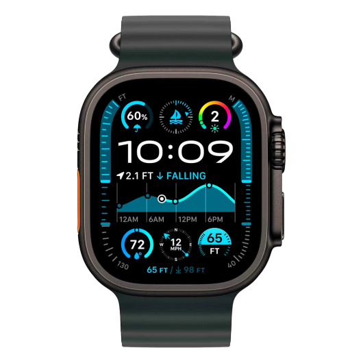 Умные часы Apple Watch Ultra 2 2024 49mm Black Titanium Case with Black Ocean Band