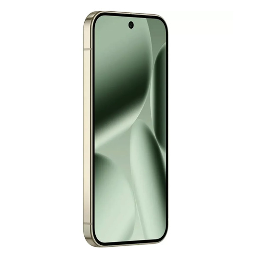 Google Pixel 10 Pro 16/256Gb Jade (US)