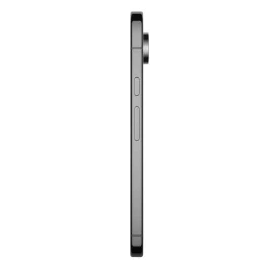 Google Pixel 9 Pro XL 16/256Gb Черный (JP)