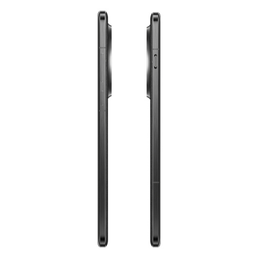 OnePlus 13 12/256Gb Dual nanoSim Черный IND