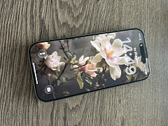 Apple iPhone 17 256 GB Sage nano SIM + eSIM (без RuStore) — фото покупателя