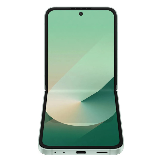 Samsung Galaxy Z Flip 6 F741B 12/512Gb Global Мятный