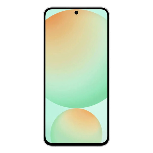 Samsung Galaxy S24FE S721B 8/256Gb Мятный EAC
