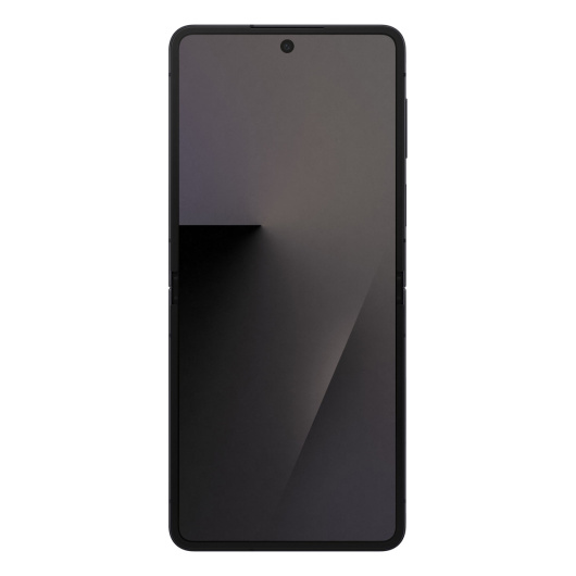 Samsung Galaxy Z Flip 7 F766B 12/256Gb Черный