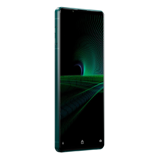 Sony Xperia 1 III 12/256Gb Global Зеленый