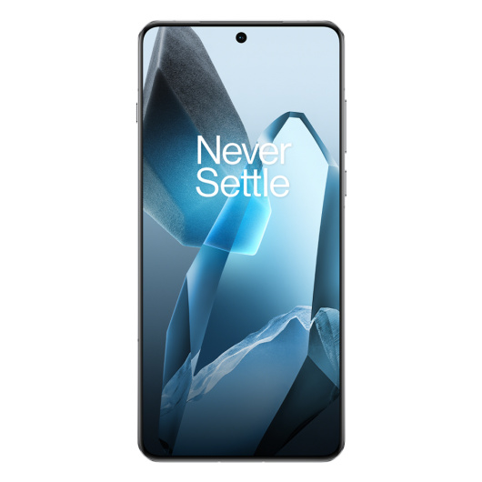 OnePlus 13 12/256Gb Dual nano Sim Синий IND