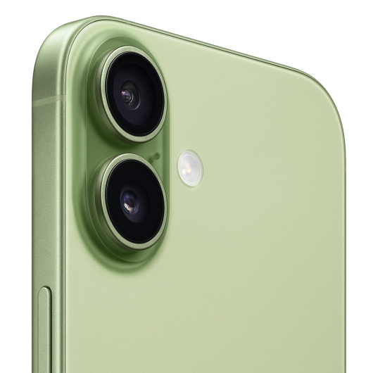 Apple iPhone 17 256 ГБ Sage eSIM (без RuStore)