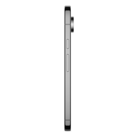 Google Pixel 9 Pro 16/256Gb Черный (JP)
