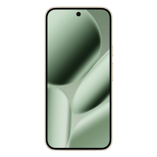Google Pixel 10 Pro XL 16/256Gb Jade (US)