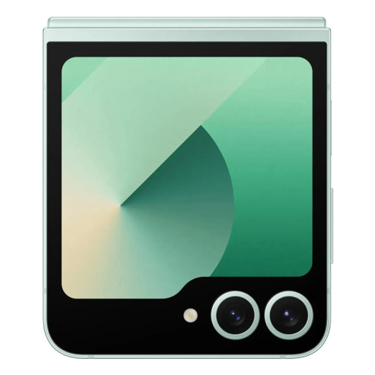 Samsung Galaxy Z Flip 6 F741B 12/256Gb Global Мятный