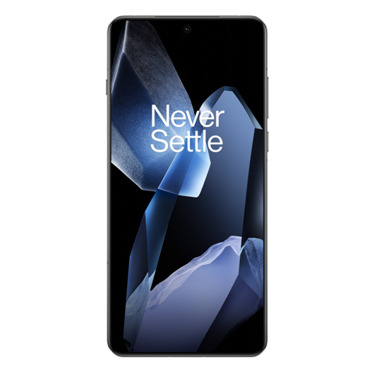 OnePlus 13 12/256Gb Dual nanoSim Черный IND