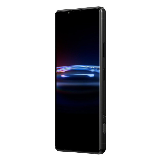 Sony Xperia PRO-I 12/512Gb Global Черный