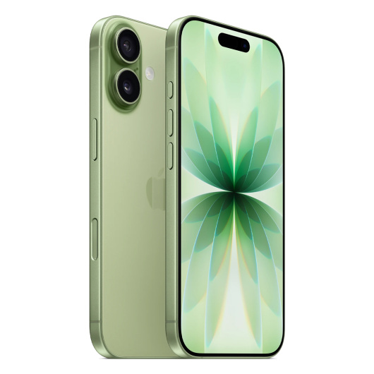 Apple iPhone 17 256 ГБ Sage eSIM (без RuStore)