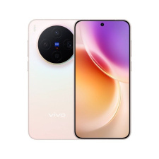 Vivo X300 16/512Gb Global Розовый