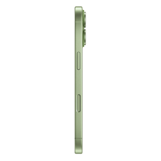 Apple iPhone 17 256 ГБ Sage eSIM (без RuStore)
