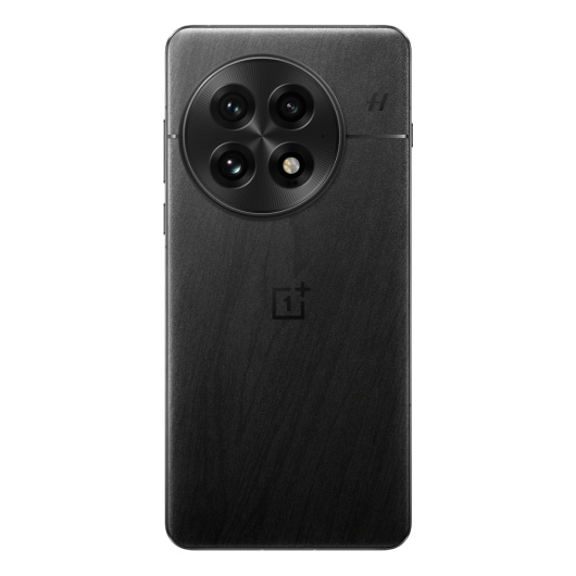 OnePlus 13 12/256Gb Dual nanoSim Черный IND