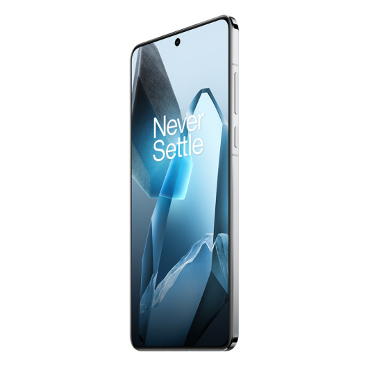 OnePlus 13 12/256Gb Dual nano Sim Синий IND