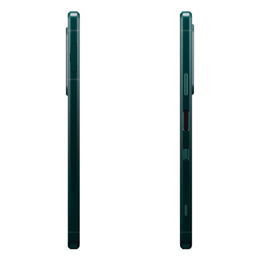 Sony Xperia 1 III 12/256Gb Global Зеленый