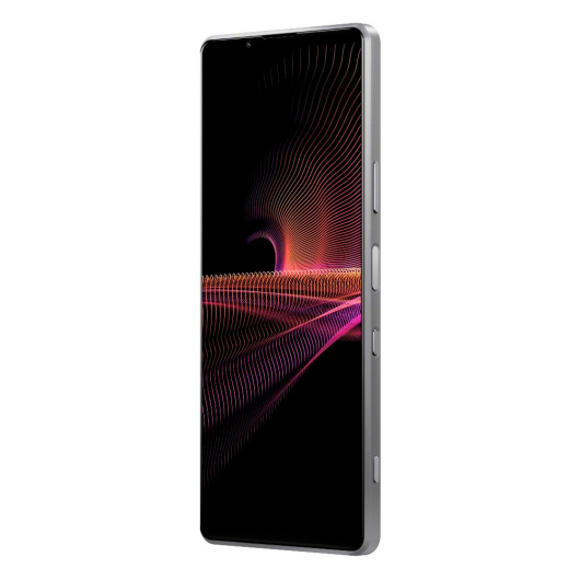 Sony Xperia 1 III 12/512Gb Global Серый