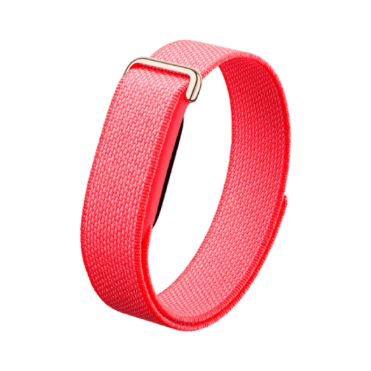 Фитнес-браслет Google Fitbit Air Berry