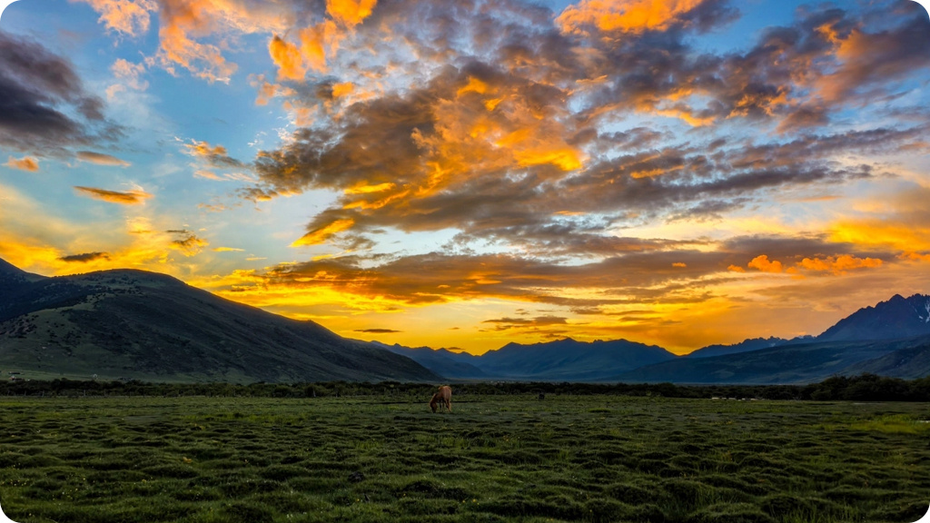 Huawei Pura 80 12/256 GB РСТ Золотой