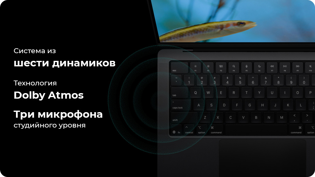 Ноутбук Apple MacBook Pro 14 2025 M5 16GB/512GB Серебристый (MDE44)