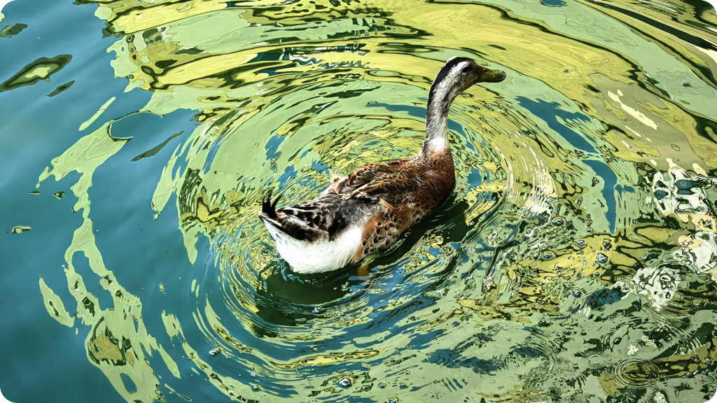 Huawei Mate 70 Pro 12/512Gb РСТ Черный