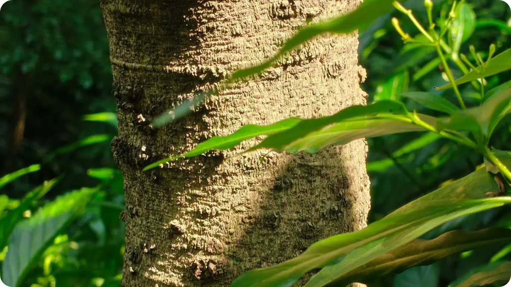 OnePlus 15 12/256Gb Nano SIM+eSIM Песочный Global