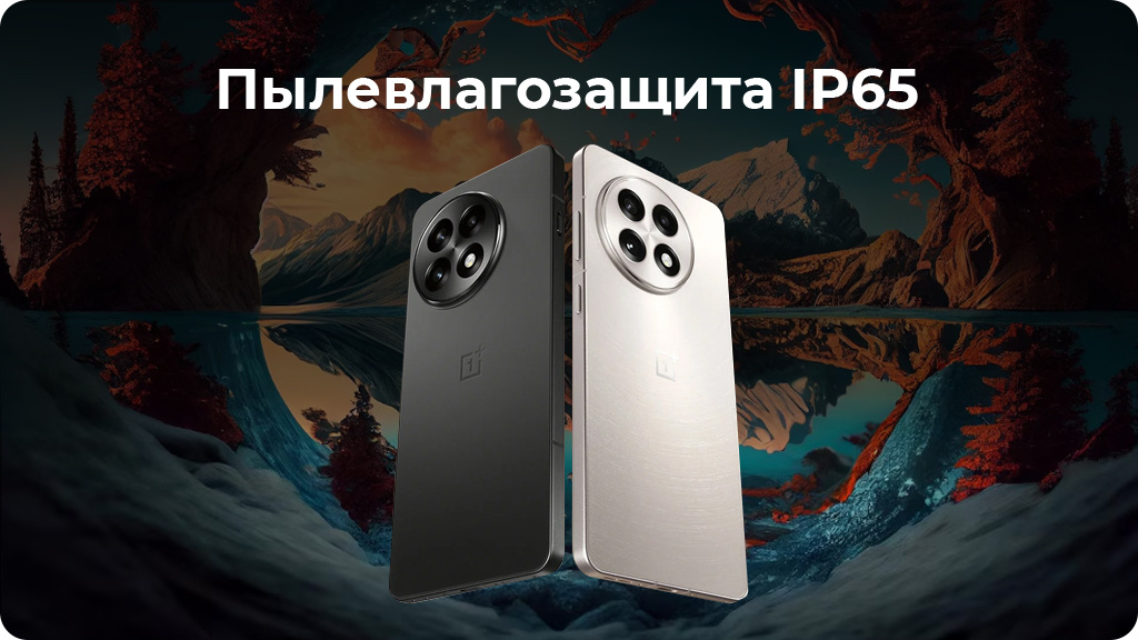 OnePlus 13R 16/512Gb Dual nanoSim Черный IND