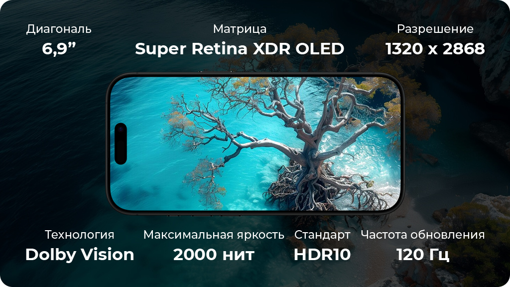 Apple iPhone 16 Pro Max 1 ТБ Black Titanium nano SIM + eSIM