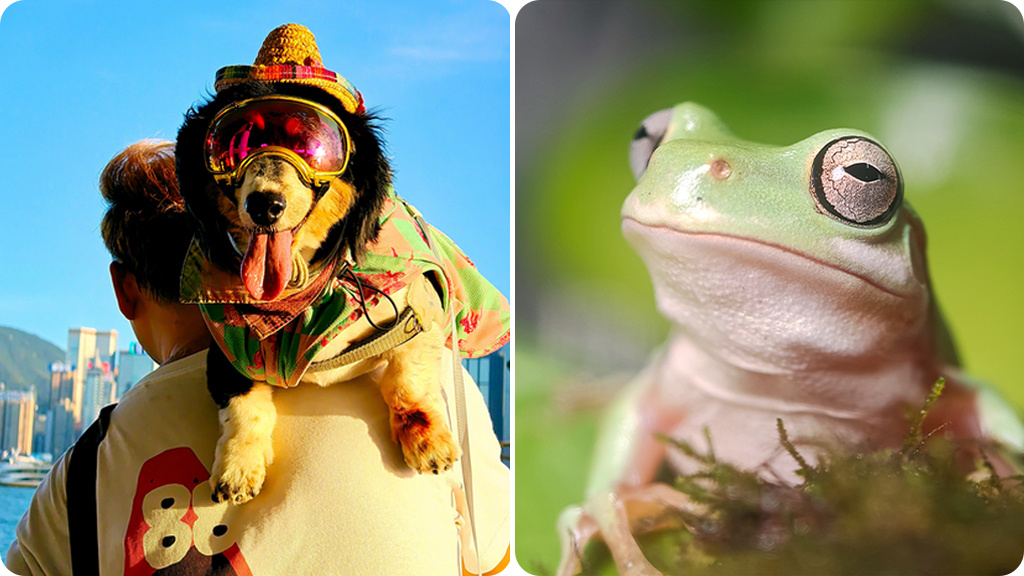 ZTE Nubia Z80 Ultra 16/512Gb Global Синий