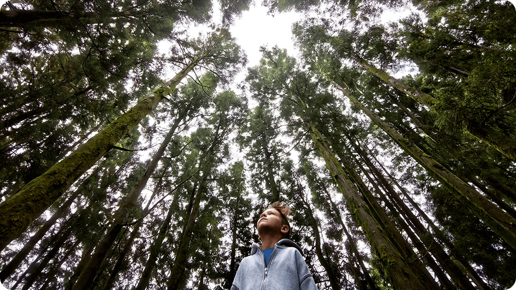 Xiaomi 15T 12/256Gb EAC Серый