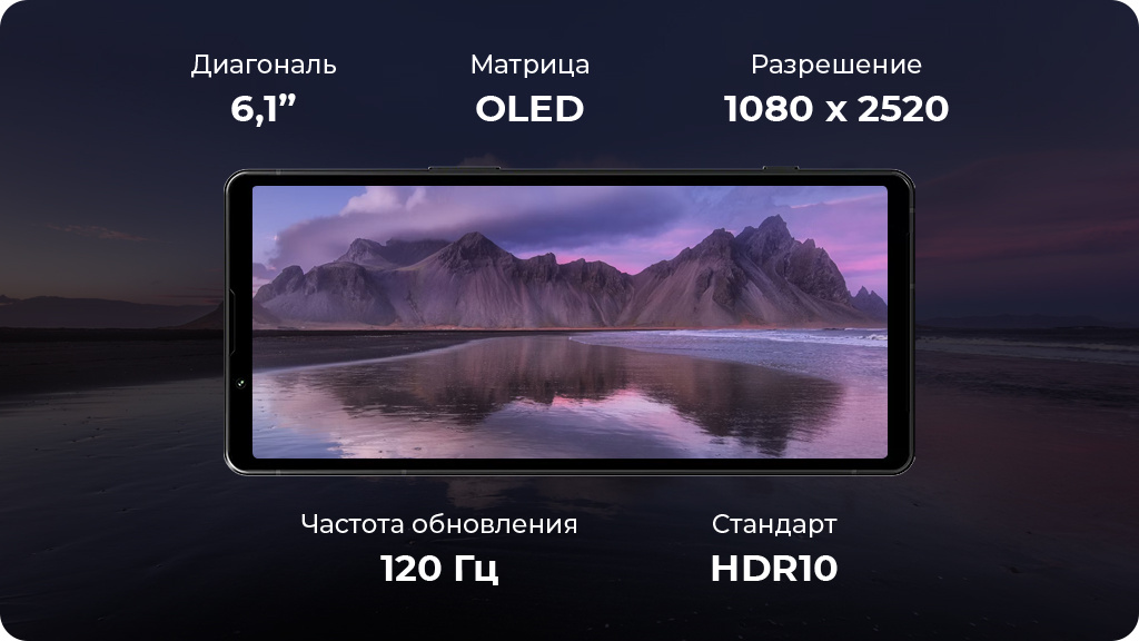 Sony Xperia 5 V 8/256Gb (XQ-DE72) Global Серебристый