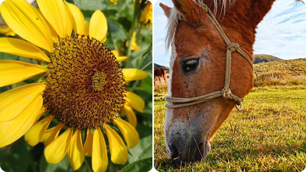 OnePlus 15R 12/256Gb Nano SIM+eSIM Мятный IN